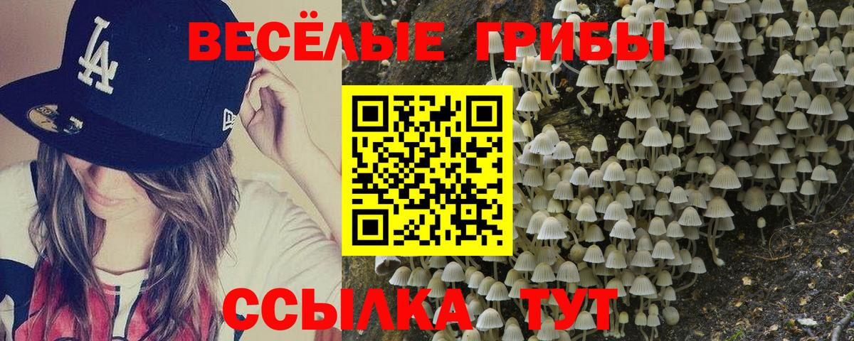 Галлюциногенные грибы ЛСД  Вход с VPN  Галлюциногенные грибы Magic Shrooms  Волжский 