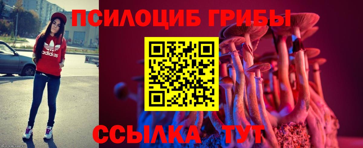 Галлюциногенные грибы MAGIC MUSHROOMS Волжский